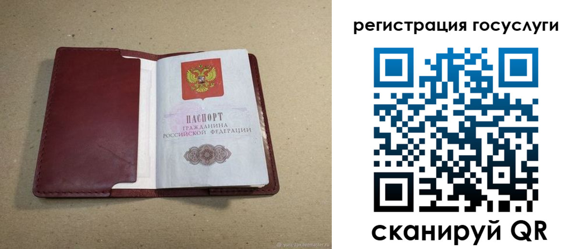 прописка ребенка в Шахтах